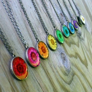 Pick Your Color Rainbow Daisy Necklace, Real Flower Necklace, Chrysanthemum, Botanical Jewelry, Pressed Flower Jewelry, Antique Bronze image 1