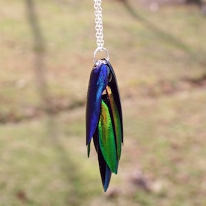 Green Jewel Elytra Beetle Wing Necklace, Elytra Sternocera beetle wings, Real Beetle Shell Jewelry, Bright Iridescent Green, Wearable Nature