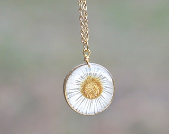 Reale Margherita Oro cerchio impostazione collana, Margherita pressata, collana a sospensione, gioielli botanici, fiore reale, Fleabane