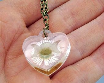 Planchette Daisy Necklace, Real Pressed Daisy, Heart