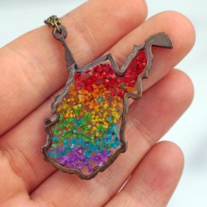 West Virginia Rainbow Pendant Necklace, WV Botanical, Botanical Jewelry, State Pride, Pride Month, LGBTQ