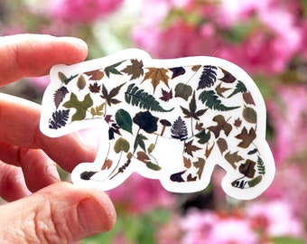 Botanical Bear Sticker, Pressed Flower Sticker, Sticker Art, Bear Sticker, Bear Floral, Real Flora Image, Bear lover Gift, Flora, Black Bear