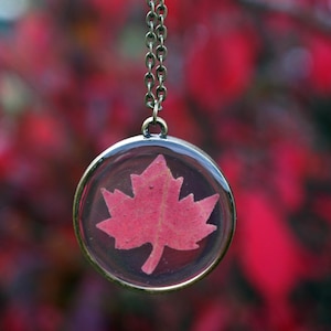 Rote Ahornblatt Halskette, Herbst Ahornblatt, Botanischer Schmuck, Terrarium Halskette, Ahorn, kleine Blätter, Ahornblatt, herbstliche Blatt, Herbst