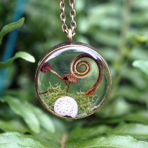 May include: A gold necklace with a round pendant featuring a clear resin filled with dried botanicals, including a fern frond, moss, and a small white shell.