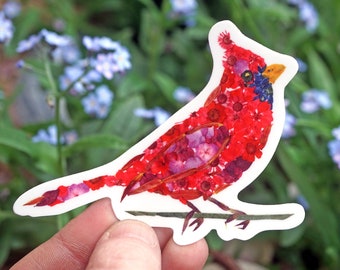Red Cardinal Bird Sticker, Pressed Flower Sticker, Sticker Art, Bird Sticker, Red Bird Floral, Real Flower Image, Gift for Bird Lover, Flora