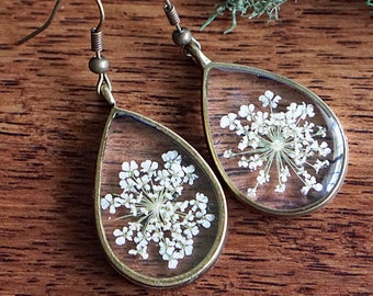 Echte Gepresste Weihnachten Fern Frond Botanische Exemplar Etsy