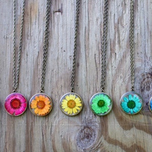 Pick Your Color Rainbow Daisy Necklace, Real Flower Necklace, Chrysanthemum, Botanical Jewelry, Pressed Flower Jewelry, Antique Bronze image 2