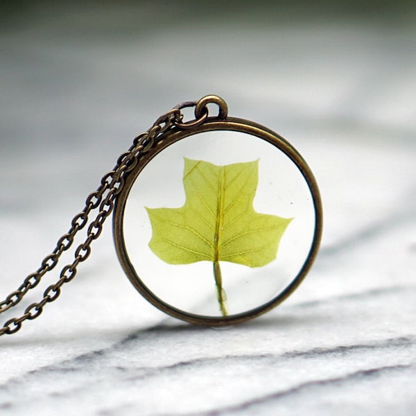 Tulip Poplar Leaf Necklace, Botanical jewelry, Terrarium Necklace, Poplar, Tiny Spring Leaves, Tulip Leaf, Tulip Poplar