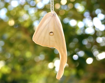 Luna Moth Hind Wing, Swallowtail Wing, Real Butterfly Wing Necklace