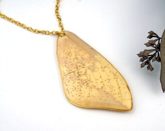 Clear Quartz Crystal Necklace Real Butterfly Necklace Cecropia Moth Wing Necklace Moth Wing Crystal Necklace 14k Gold Chain Necklace