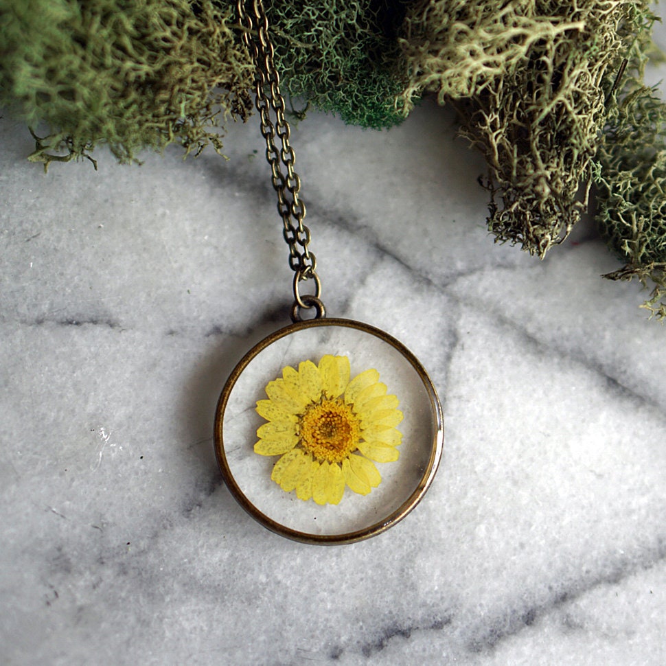 Yellow Daisy Necklace, Real Flower Necklace, Yellow Chrysanthemum, Botanical Jewelry, Pressed Flower Jewelry, Flor Pendant, Antique Bronze - Etsy Yellow Daisy Necklace, Real Flower Necklace, Yellow Chrysanthemum, Botanical Jewelry, Pressed Flower Jewelry, Flor Pendant, Antique Bronze - Etsy