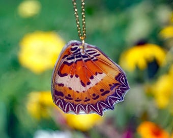 Cethosia Butterfly Wing Necklace, Lacewing Butterfly Wing, Orange and Cream Wing, Real Resin Wing, Hindwing, Taxidermy Butterfly Necklace