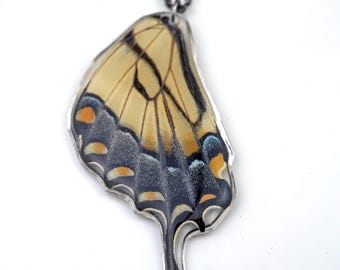 Eastern Tiger Swallowtail Hindwing Necklace, Real Butterfly Wing Necklace, Preserved Butterfly Wing, Wing in Resin, Yellow, Papilio glaucus