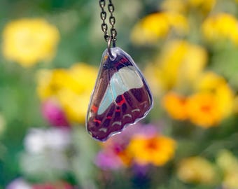 Blue Bottle Wing Necklace, Graphium sarpedon Hindwing, Teal and Black Wing, Real Resin Wing, Hindwing, Taxidermy Butterfly Necklace