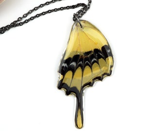 dears Black Swallowtail Butterfly-Shaped Necklace Stainless Steel 18 Chain dears Black Swallowtail Butterfly-Shaped Necklace Stainless Steel 18 Chain