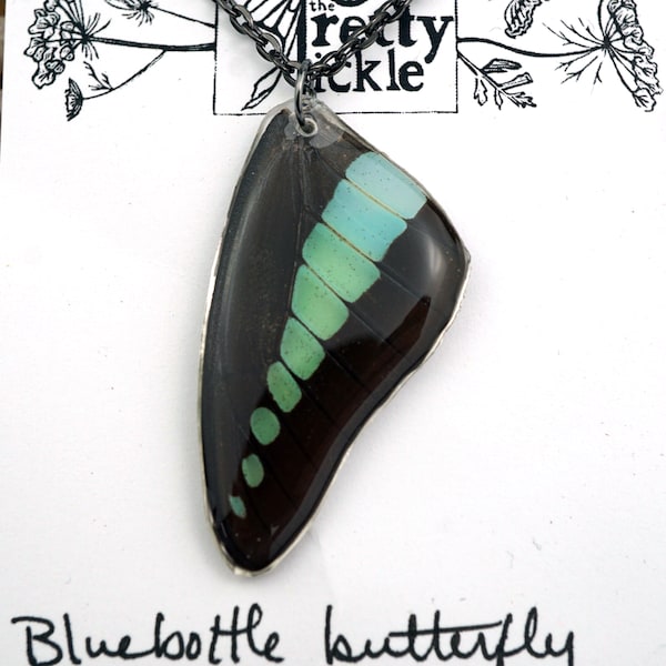 Blaue Flasche Schmetterling Flügel Halskette, Gewöhnliche Blauflasche, echter Schmetterling, Flügel Schmuck, Resin Flügel