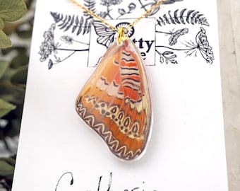 Cethosia Butterfly Wing Necklace, Lacewing Butterfly Wing, Orange and Cream Wing, Real Resin Wing, Forewing, Taxidermy Butterfly Necklace