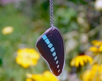 Blue Bottle Wing Necklace, Graphium sarpedon Forewing, Teal and Black Wing, Real Resin Wing, Forewing, Taxidermy Butterfly Necklace