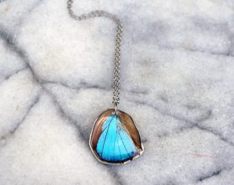 Arhopala Araxes Hind Wing Necklace, Brillant Blue Wing, Teal Butterfly, Small Wing, Real Resin Wing, Hindwing, Taxidermy Butterfly Necklace