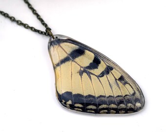 Eastern Tiger Swallowtail Wing Necklace, Real Butterfly Wing Necklace, Preserved Butterfly Wing, Wing in Resin, Yellow, Papilio glaucus
