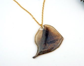 Butterfly Swallowtail Wing, Brown Moth, Real Butterfly, Wing Jewelry, Resin Wing