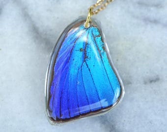 Arhopala Araxes Hind Wing Necklace, Brillant Blue Wing, Teal Butterfly, Small Wing, Real Resin Wing, Forewing, Taxidermy Butterfly Necklace