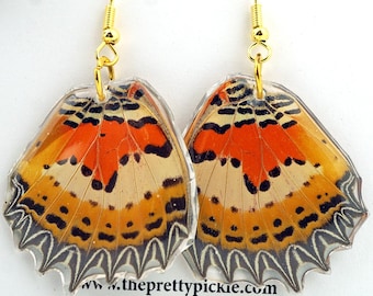 Cethosia Butterfly Wing Earrings, Lacewing Butterfly Wing, Orange and Cream Wing, Real Resin Wing, Hindwing, Taxidermy Butterfly Earrings