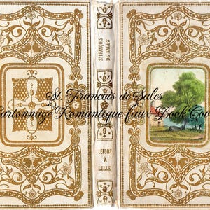 Capa de livro falsa francesa antiga 1847 - tamanho carta dos EUA