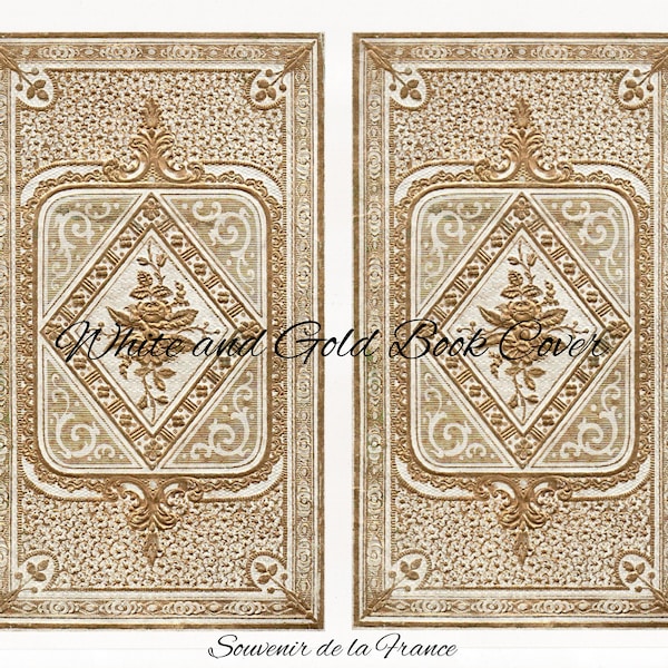 Antique French faux Book Cover - white with gold gilding