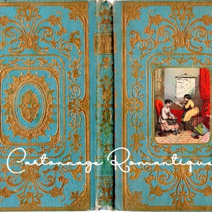 Faux Antique French Decorative Embossed Book Cover in French Blue