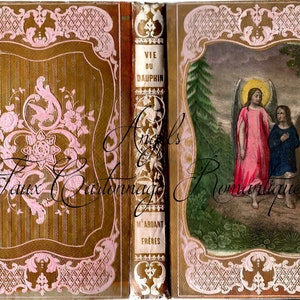May include: An antique book cover with a pink and gold design. The cover features a floral motif and the title "Vie du Dauphin" in French. The back cover shows an illustration of two angels in a forest setting.