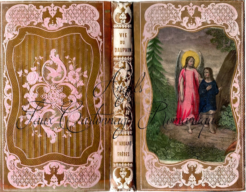 May include: An antique book cover with a pink and gold design. The cover features a floral motif and the title "Vie du Dauphin" in French. The back cover shows an illustration of two angels in a woodland setting.