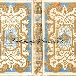 Capa de livro falsa francesa antiga 1847 - tamanho carta dos EUA
