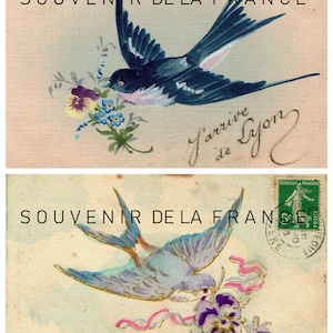 The Pigeon - Vintage French Postcard - Vintage Postcards - Sticker