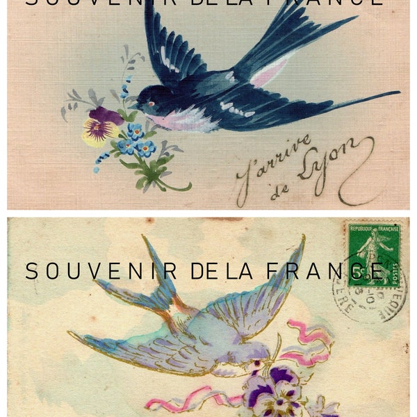 French painted Bird Postcards - antique