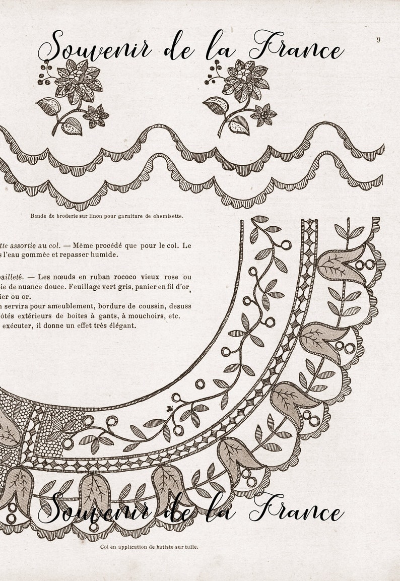 May include: A vintage illustration of a lace collar design with the text "Souvenir de la France" in French. The design features a floral motif with leaves and berries.