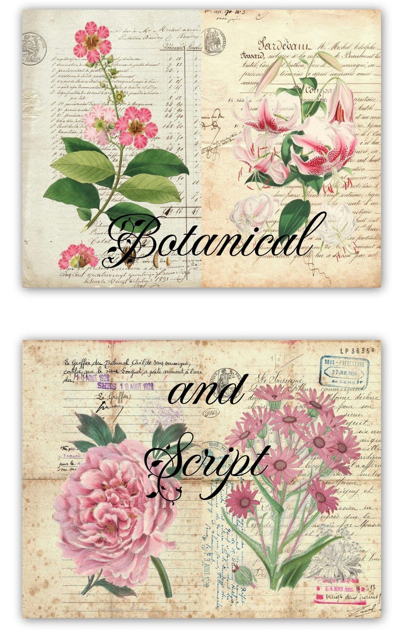 Botanical With Script - Using French Documents From My Collection ...