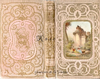 Antique French Faux Book Cover - from Book 'Rose de Tannebourg' from 1856 - landscape format
