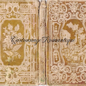 NOVO!! Capa de livro falsa francesa antiga 1854 - tamanho carta dos EUA