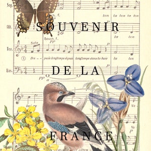 French Ephemera -  Five Digital Sheets - Birds on French Music Sheets - Journaling cards/pages