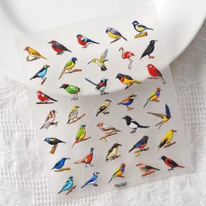 Op de afbeelding: Een vel met kleurrijke vogel stickers met verschillende soorten, waaronder blauwe vogels, roodborstjes, kardinaals en mussen. De stickers zijn op een transparante achtergrond en hebben een glanzende afwerking. Het vel is gelabeld met "TS-097".