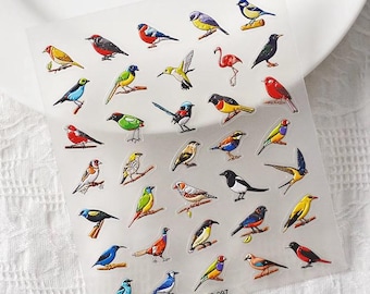 Adesivos de unhas com pássaros – Decalques 5D de animais