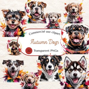 Op de afbeelding: Digitale illustratie met verschillende hondenrassen met herfstbladeren. De afbeelding bevat de tekst "Commercial use clipart" en "Autumn Dogs", met "22 Transparent PNG's" eronder. De honden lachen.