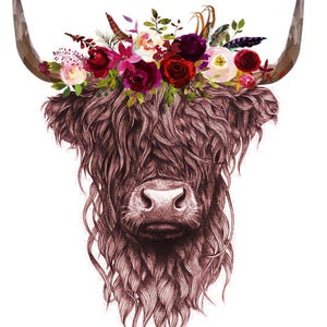 highland cow png