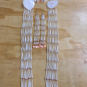 Hermoso conjunto de gargantilla y pendientes de lazos trenzados Native Dentalium.