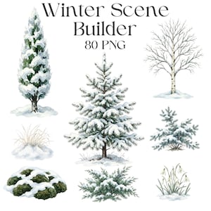 Può includere: Una collezione di illustrazioni ad acquerello intitolata Winter Scene Builder 80 PNG, che presenta vari elementi coperti di neve tra cui una conifera alta, una betulla, un abete, arbusti, una macchia di muschio, erba secca e bucaneve bianchi.