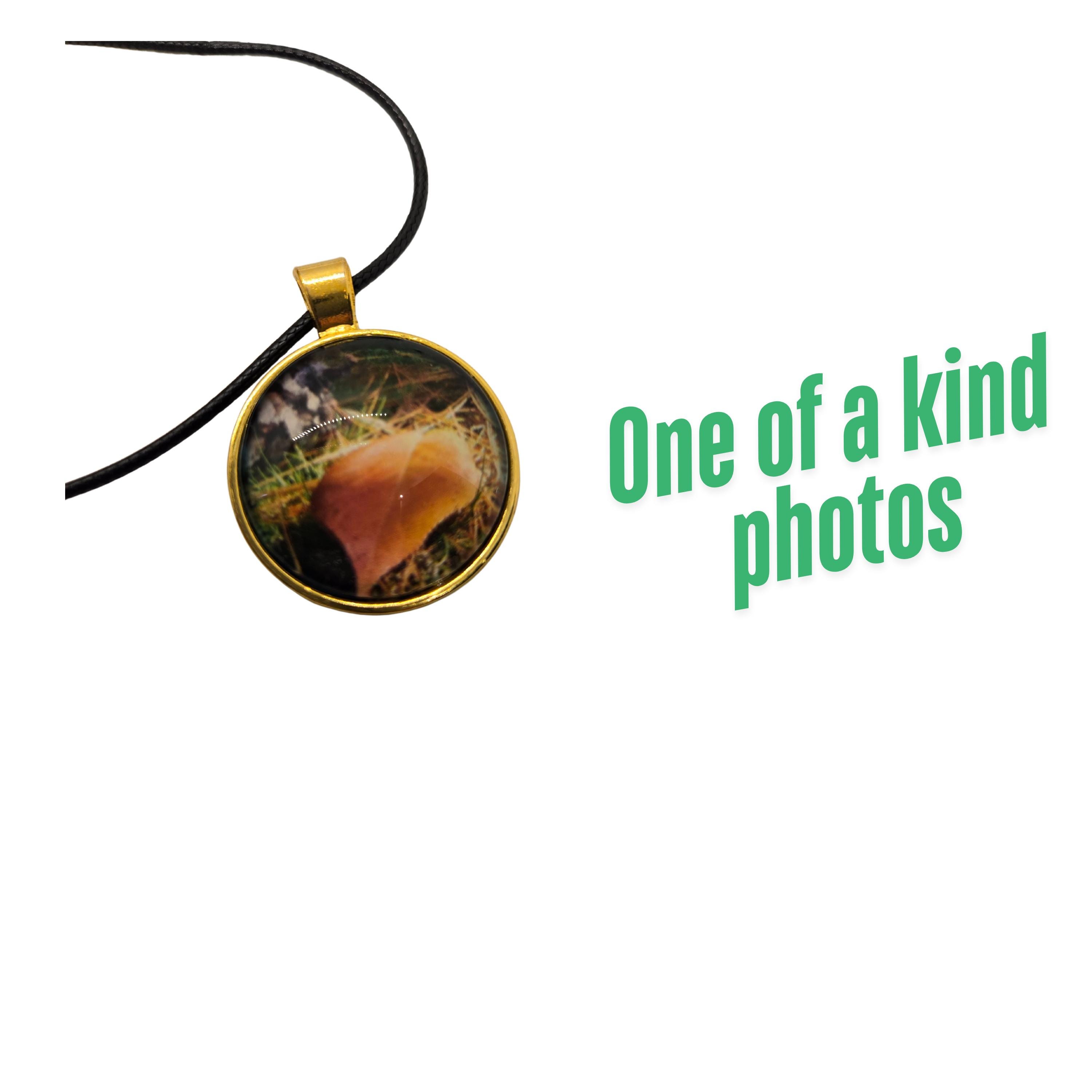 One of a Kind 