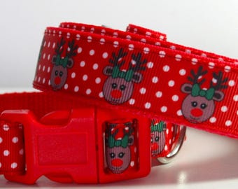 Rudolf the Reindeer Dog