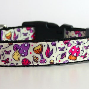 Collar para perros Toadstool o correa de seguridad a juego Cinturón de seguridad de 3/4" o 1" de ancho