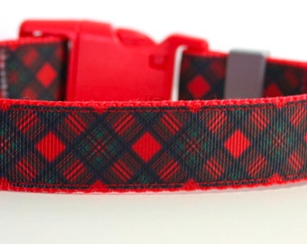 Tartan Dog